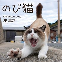 特別版】数量限定 キュートなお顔がいっぱい！沖昌之撮影のそとねこお